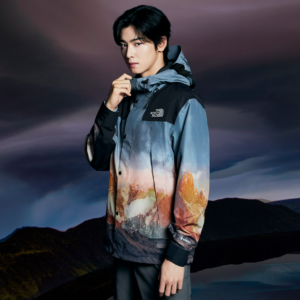 Ao The North Face GTX Mountain Vista Jacket 'Multi' NJ2GP60B