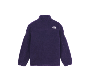 Ao The North Face Label Limo Fleece Jacket 'Purple' NJ4FM50N