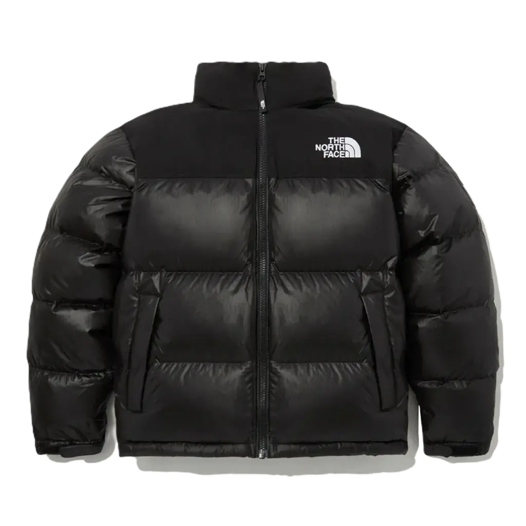 Ao The North Face Novelty Nuptse Down ‘Black’ NJ1DP62J