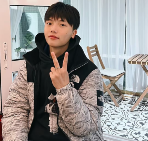 Ao The North Face Novelty Nuptse 'Grey' NJ1DM66K