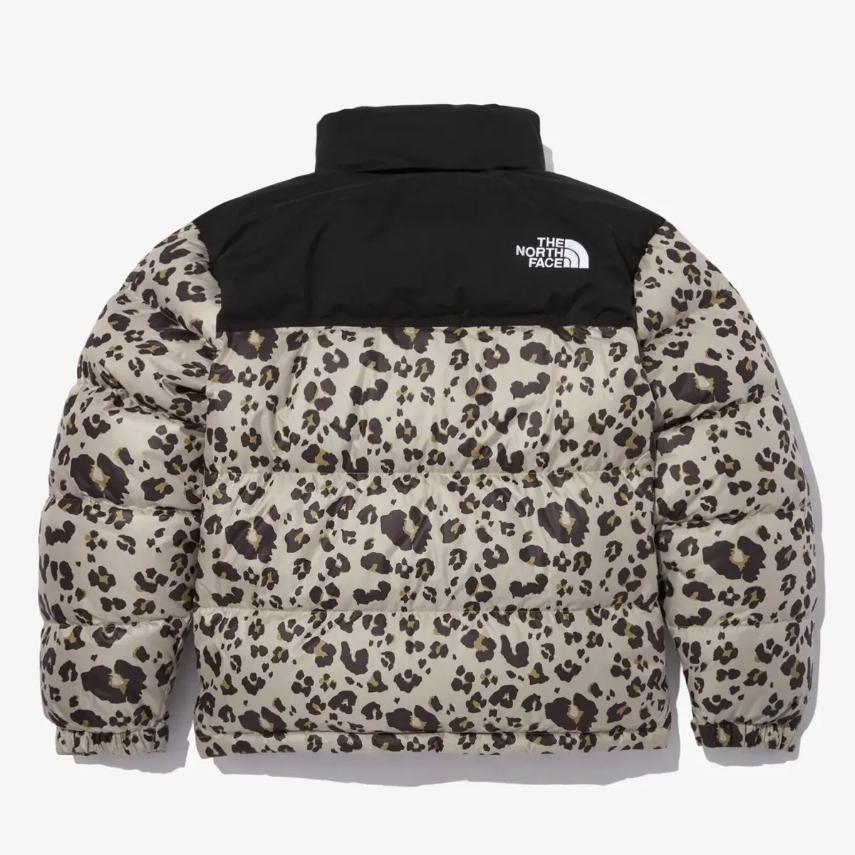 Ao The North Face Novelty Nuptse 'Multicolor' NJ1DN51Q