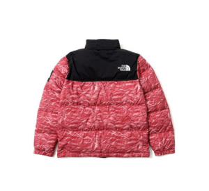 Ao The North Face Novelty Nuptse 'Red' NJ1DM66L