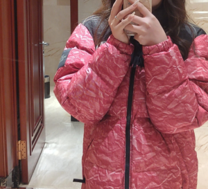 Ao The North Face Novelty Nuptse 'Red' NJ1DM66L