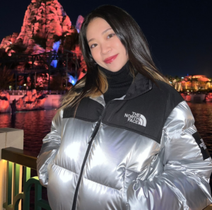 Ao The North Face Nuptse Down Jackets 'Silver' NJ1DP87J