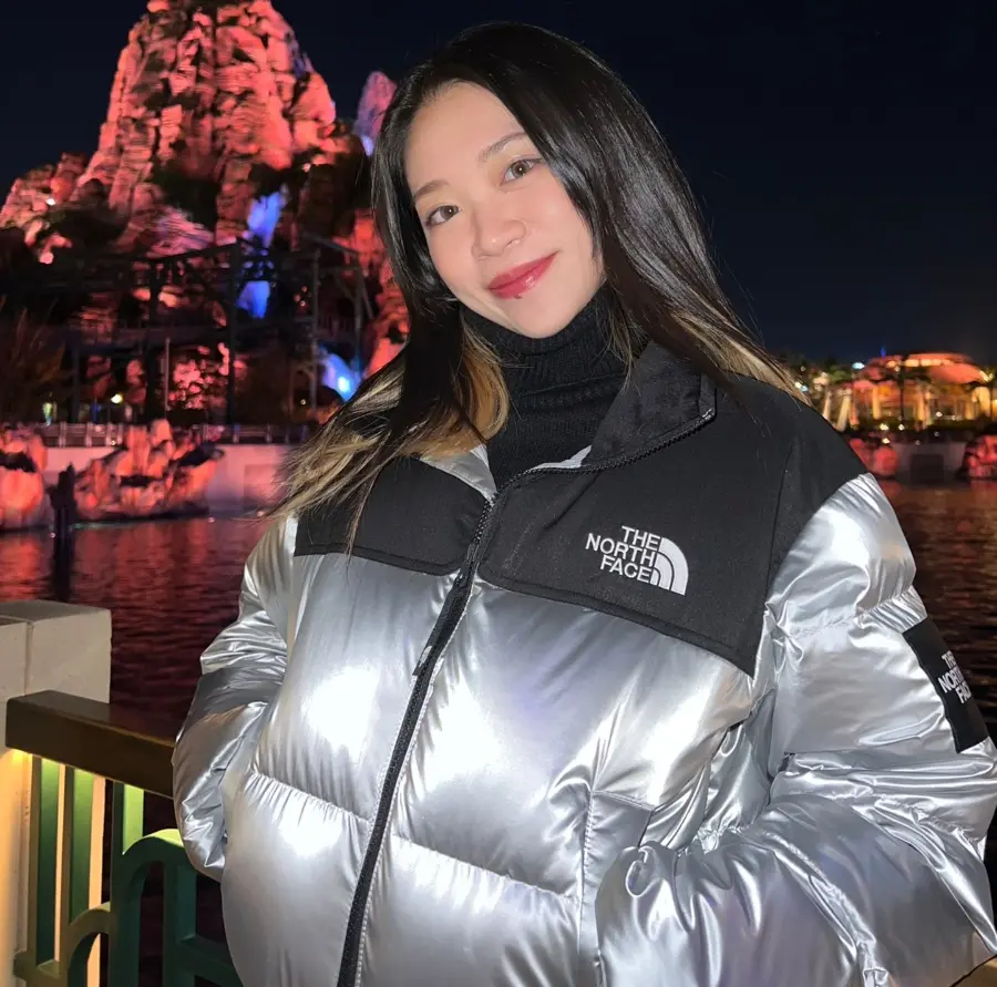 Ao The North Face Nuptse Down Jackets 'Silver' NJ1DP87J