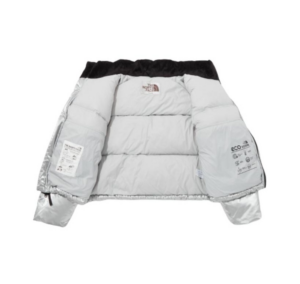 Ao The North Face Nuptse Down Jackets 'Silver' NJ1DP87J