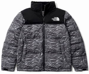 Ao The North Face Nuptse Jacket 'Grey' NJ1DM66J