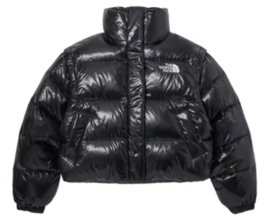 Ao The North Face Street Style Down Jackets 'Black' NJ1DP86J