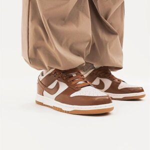 Giay Nike Dunk Low 'Ale Brown' FJ2260-001