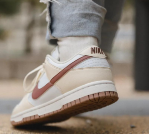Giay Nike Dunk Low Next Nature 'Coconut Mauve' DD1873-103
