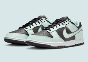Giay Nike Dunk Low Premium 'Dark Smoke Grey' FZ1670-001