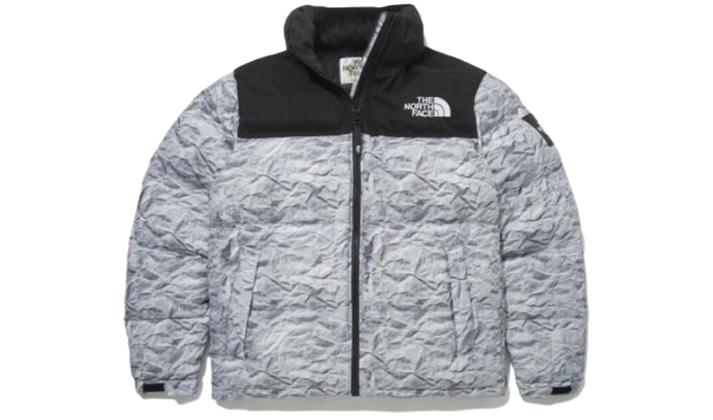 Ao The North Face 'Gray' NJ1DN51O