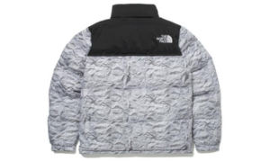 Ao The North Face 'Gray' NJ1DN51O