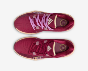 Giay Nike Freak 5 EP 'Noble Red Desert Berry' DX4996-600