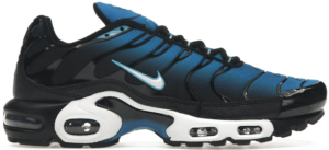 Giay Nike Air Max Plus Aquarius 'Blue' DM0032-402