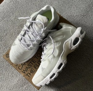 Giay Nike Air Max Terrascape Plus 'White' DQ3977-100