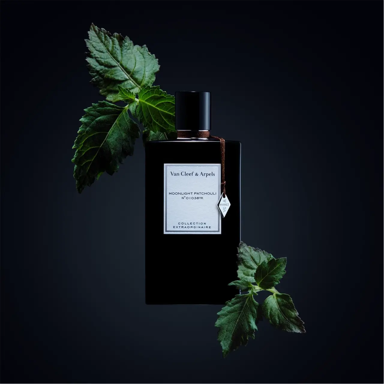 Nuoc Hoa Van Cleef Arpels Moonlight Patchouli EDP