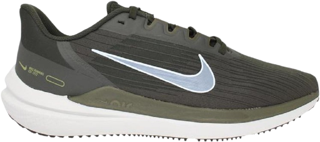 Giay Nike Air Winflo 9 'Blue Green' DD6203-300