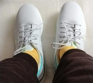 Giay Nike Air Zoom Victory Tour 3 W DX9025-047