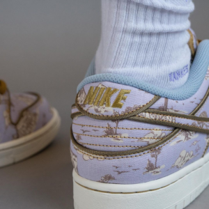 Giay Nike Dunk Low Premium SB 'City of Style Pack' FN5880-001