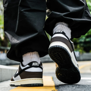 Giay Nike Dunk Low Next Nature 'Cacao Wow' HF4292-200