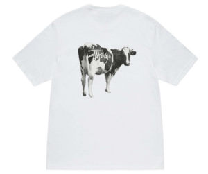 Ao Stussy Grassfed Tee 'White'
