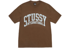 Ao Stussy International Tee Pigment Dyed 'Brown'