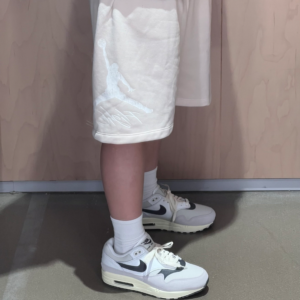 Giay Nike Air Max 1 'Light Bone Iron Grey' HJ3498-007