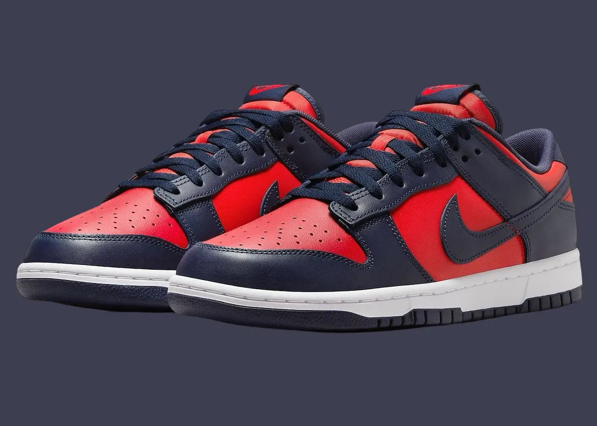 Giay Nike Dunk Low CO.JP 'City Attack 2024' DV0833-601