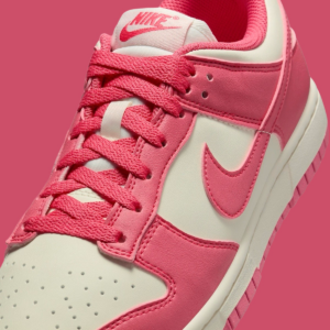 Giay Nike Dunk Low Next Nature 'Aster Pink' DD1873-600