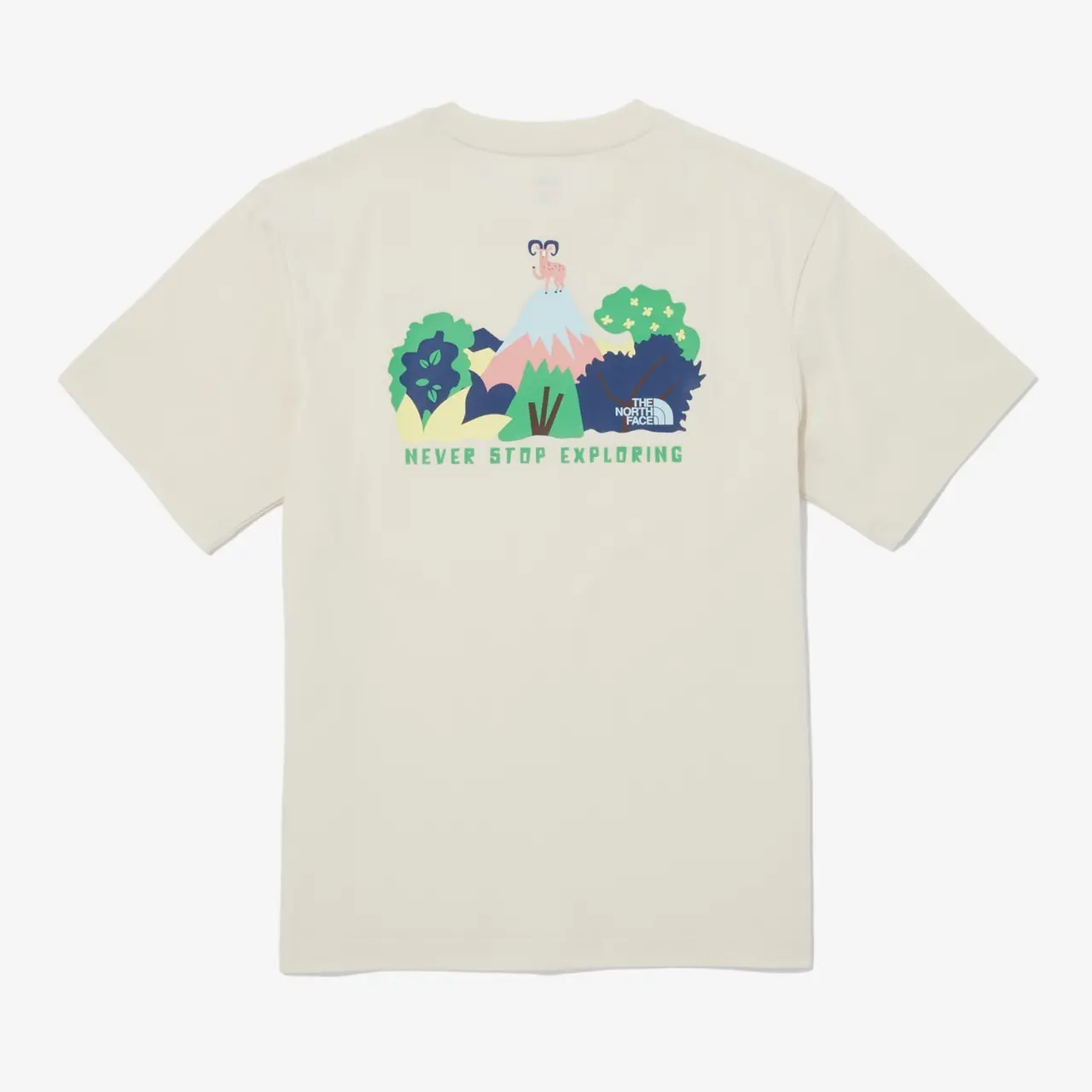 Ao The North Face Highland 'White' NT7UQ03B