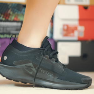 Giay Nike Pegasus Trail 5 GORE-TEX 'Black' FQ0908-002