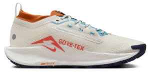 Giay Nike Pegasus Trail 5 GORE-TEX 'Phantom Vintage' FQ0908-003