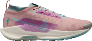 Giay Nike Pegasus Trail 5 GORE-TEX 'Red Stardust' FQ0908-600