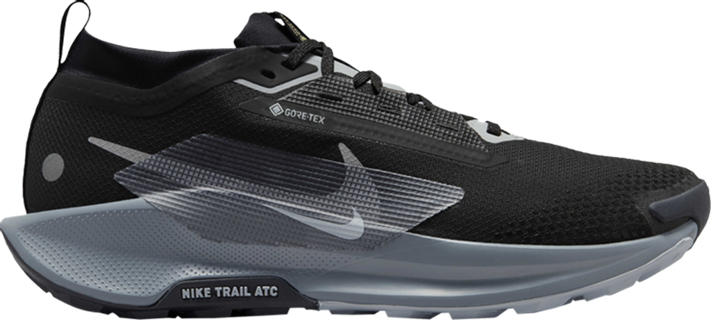 Giay Nike Pegasus Trail 5 GORE-TEX 'Black Grey' FQ0908-001