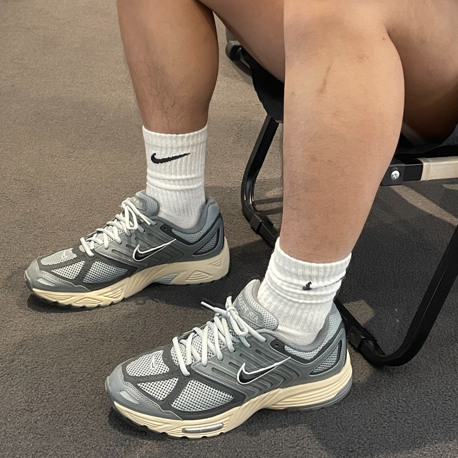 Giay Nike Air Pegasus 2K5 'Light Pumice' HQ1173-001