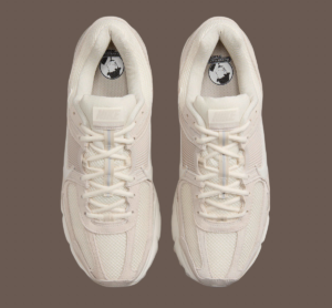 Giay Nike Air Zoom Vomero 5 'Light Orewood' HF1553-100