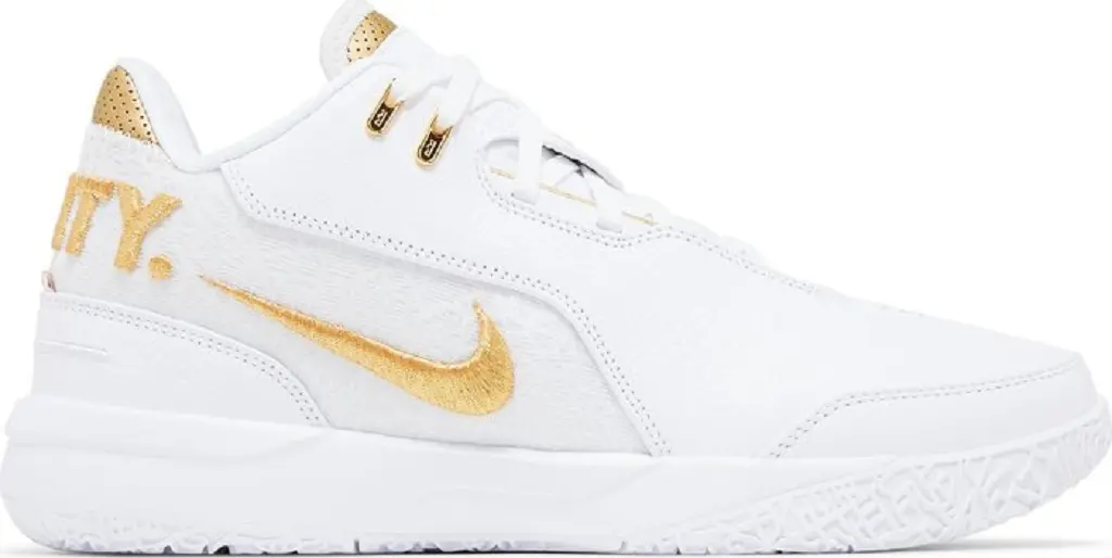 Giay Nike Zoom LeBron NXXT Gen AMPD 'Equity' FJ1566-103