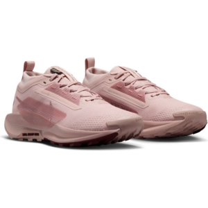 Giay Nike React Pegasus Trail 5 Gore-Tex 'Pink Oxford' FQ0912-601