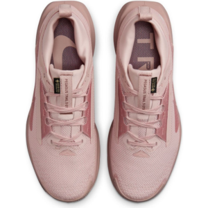 Giay Nike React Pegasus Trail 5 Gore-Tex 'Pink Oxford' FQ0912-601
