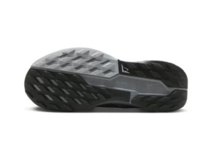 Giay Nike Pegasus Trail 5 Gore-Tex 'Black Wolf Grey' FQ0912-001