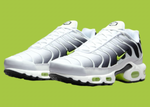 Giay Nike Air Max Plus 'White Black' DM0032-103