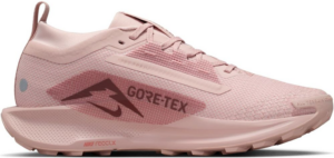Giay Nike React Pegasus Trail 5 Gore-Tex 'Pink Oxford' FQ0912-601