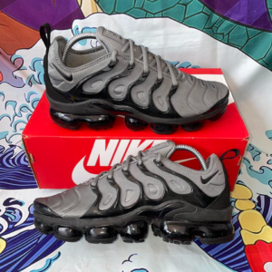 Giay Nike Air VaporMax Plus 'Cool Grey' CK0900-001