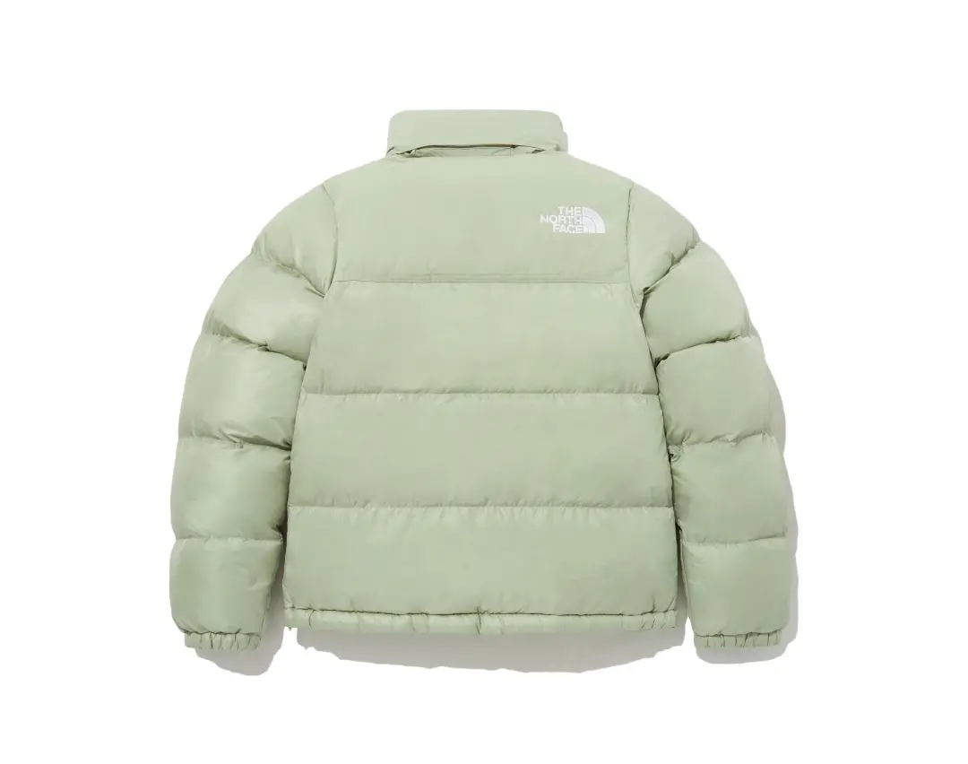 Ao The North Face On Ball Jacket 'Green' NJ3NP85E
