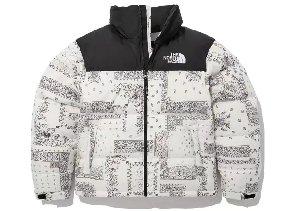 Ao The North Face 1996 Nuptse Zipper Stand 'White' NJ1DN76B