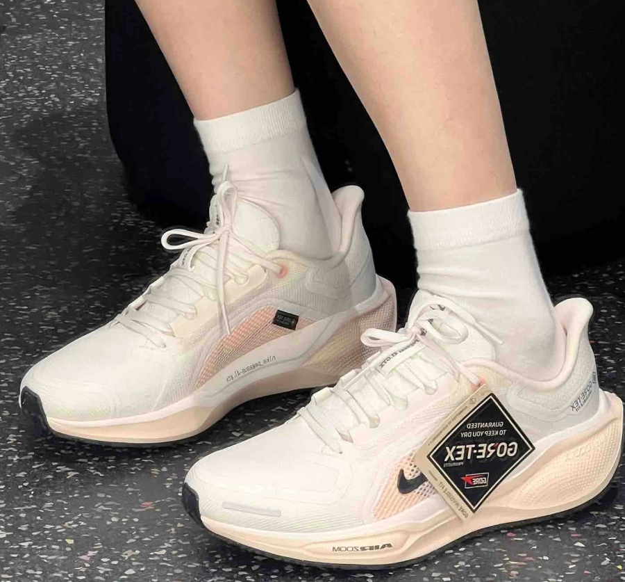 Giay Nike Air Zoom Pegasus 41 Gore-Tex 'Sail Guava' FQ1357-100