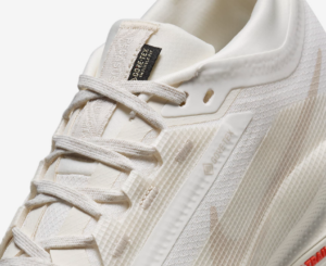 Giay Nike Pegasus Trail 5 Gore-Tex 'Sail Picante Red' FQ0912-100