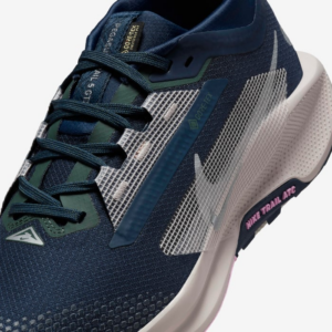 Giay Nike Pegasus Trail 5 Gore-Tex 'Black Wolf Grey' FQ0912-400