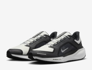Giay Nike Pegasus 41 Gore-Tex 'White Iron Grey' FQ1356-002